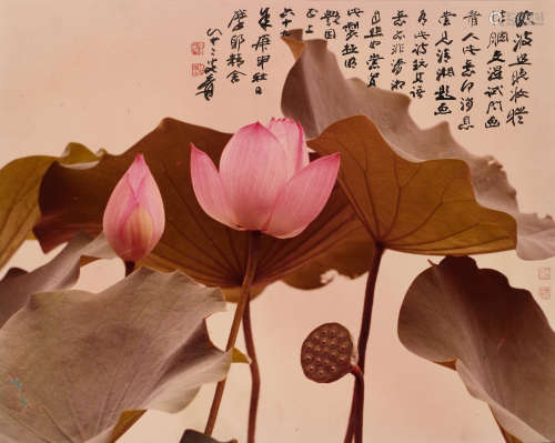 Lotus Hu Chongxian (1912-1989); Zhang Daqian (Chang Dai-chien, 1899-1983)
