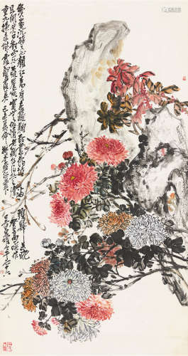 菊石图