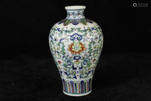 A Chinese Dou-Cai Glazed Porcelain Vase