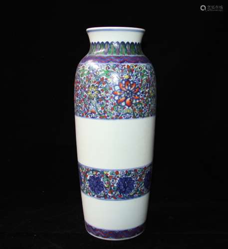 A Chinese Dou-Cai Glazed Porcelain Vase