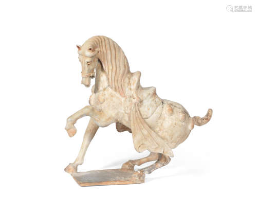 Tang Dynasty A painted pottery model of a prancing horse