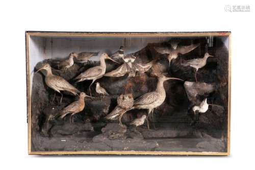 A VICTORIAN CASED TAXIDERMY DISPLAY, featuring coa…