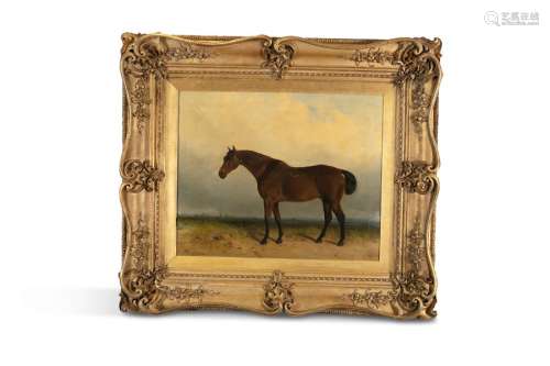 J HARDY (19TH CENTURY)Portrait of a bay horse in a…