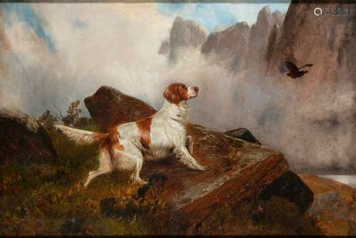 COLIN GRAEME ROE (1857 1910)A setter rising wildfo…