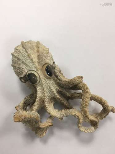 Octopus en corne, incrustation de pierre d'oeil de…