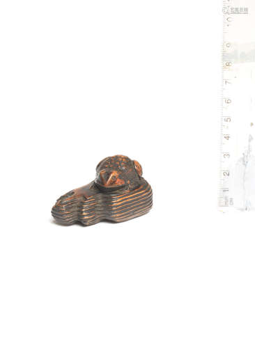 By Kazutomo(?), Iwami Province, dated 1801 A boxwood netsuke of a toad on driftwood