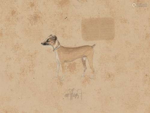 A group of eight studies of dogs, India, late 19th/early 20th century, pencil and gouache on