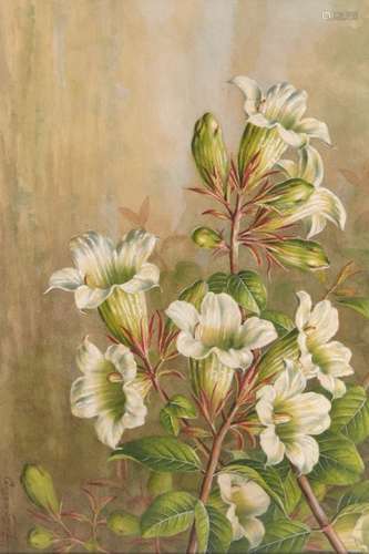 Sardar Ganda Thakar Singh (1899-1976), A botanical study, 1952, watercolour on paper, signed and