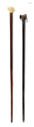 Two Continental Walking Sticks