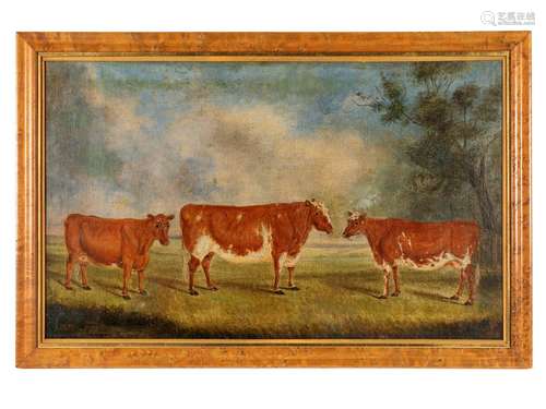 British School (19th Century) Three Cows