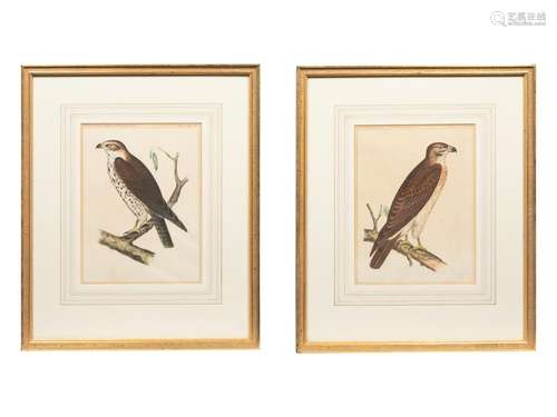 A Set of Six Hand-Colored Pacific Raiload Survey Falcon