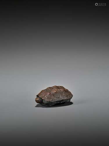 SHOKO: A MAGNIFICENT WOOD NETSUKE OF A TORTOISE