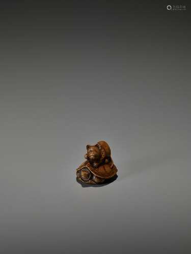 SHOKIN: WOOD NETSUKE OF A CAT AND TORTOISE