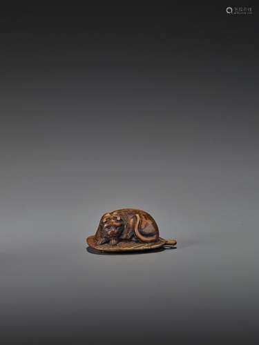 A WOOD NETSUKE OF A SLEEPING PIEBALD CAT