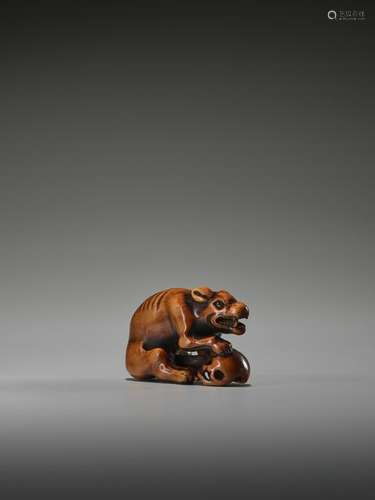 A POWERFUL WOOD NETSUKE OF A WOLF WITH A SKULL