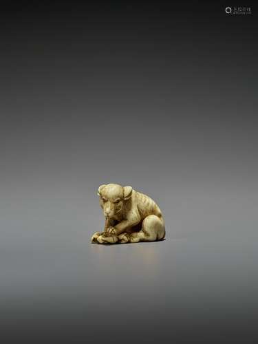 EXCELLENT BONE NETSUKE OF A WOLF WITH CRAB