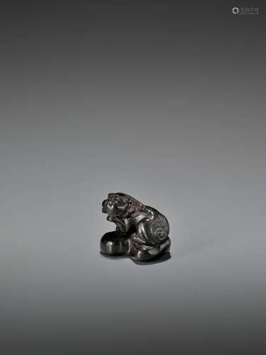 A RARE UMIMATSU NETSUKE OF A SHISHI ON ROCK