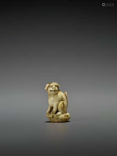 A RARE STAG ANTLER NETSUKE OF A SHISHI