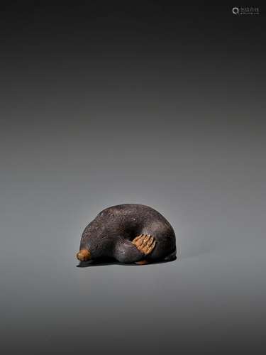 MICHAEL WEBB:  RARE WOOD NETSUKE OF A MOLE