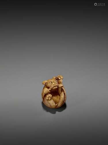 DERKACHENKO: WOOD NETSUKE OF A PUPPY