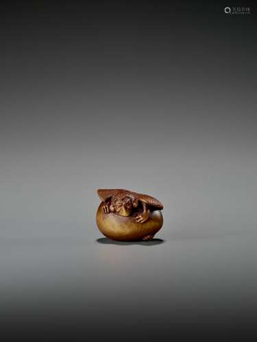 DERKACHENKO: WOOD NETSUKE OF TENGU NO TOMAGO