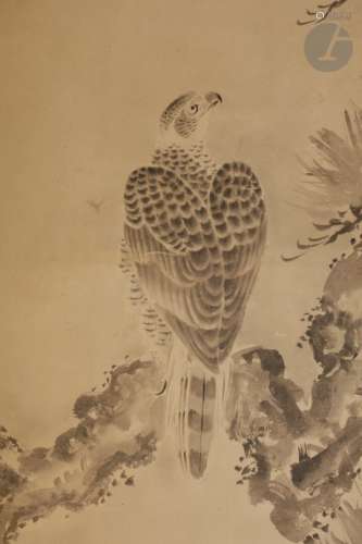 JAPON - Époque MEIJI (1868 - 1912) Encre sur papier, rapace sur une branche de pin. 129 x 53 cm ;