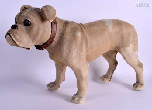 A RARE VICTORIAN BRITISH BULLDOG PULL ALONG TOY with