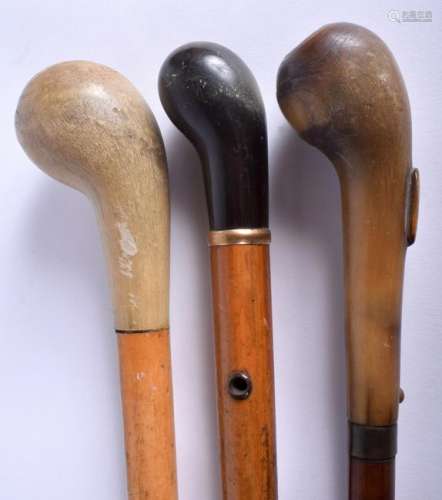 A 19TH CENTURY HORN HANDLED WALKING CANE together with
