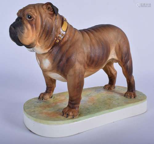 A ROYAL WORCESTER DORIS LINDNER PORCELAIN BULLDOG,