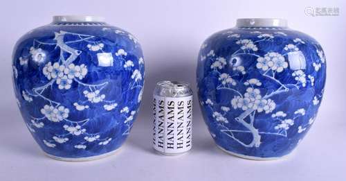 A LARGE PAIR OF 19TH CENTURY CHINESE BLUE AND WHITE