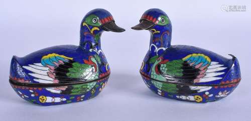 A PAIR OF CHINESE CLOISONNE ENAMEL DUCKS. 9 cm wide.