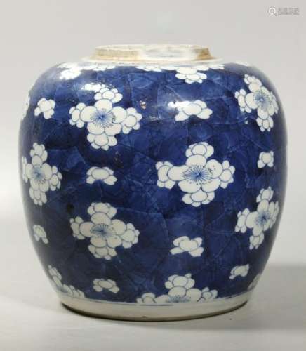 Chinese Qing Blue & White Prunus Porcelain Jar