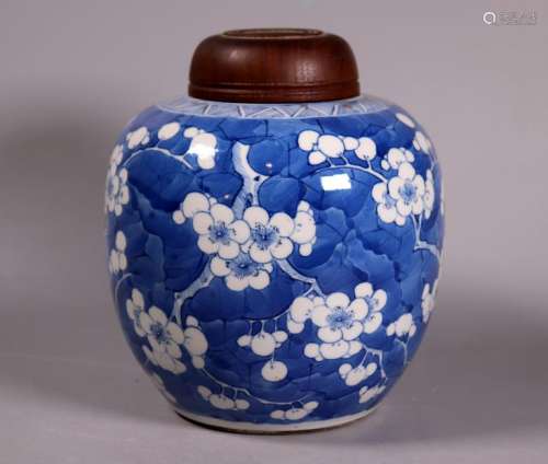 Chinese Qing Blue & White Porcelain Ginger Jar