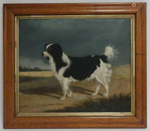 British Sch 19th c. Portrait of a Spaniel, O/C