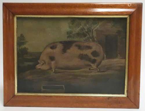 19th c. British School, Portrait of a Pig, O/C