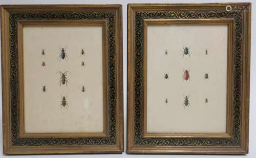 Pair of Watercolors of Entomology Subjects, 19th