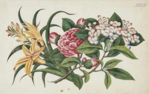 German School (?) 18/19th CenturyStudies of Flowering Plants Three watercolours, partially with
