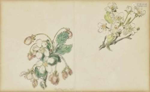 Eduard von GrütznerCherry Blossoms Signed lower centre and dated 1906. Verso further flower