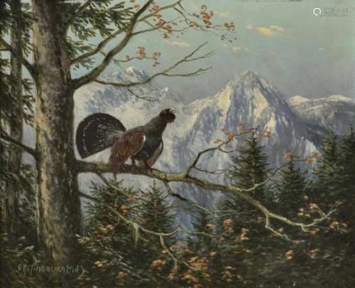 Otto ScheuererWood Grouse in Mountain Landscape Signed lower left and inscribed ''München''. Oil