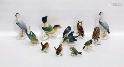 Twelve Karl Ens porcelain model birds to include: toucan, owls, budgerigar and others