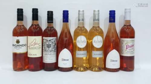 Eight bottles of assorted rose wine to include South African Plume Palace Shiraz Rose and French