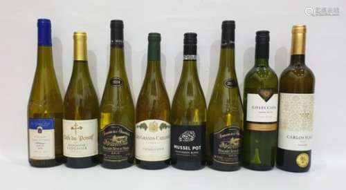Eight bottles of assorted white wine to include Carlos Plaza Macabeo 2016 and Les Grandes Cailloux