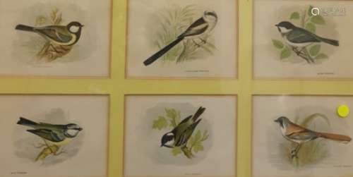 16 framed and glazed colour prints  British birds