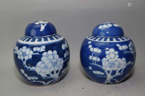 Pair of 19-20th C. Chinese Blue and White Plum Jar