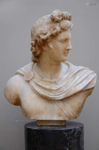 'Apollo' bust in alabaster on a scaglioli base, 19th century (50x54cm)