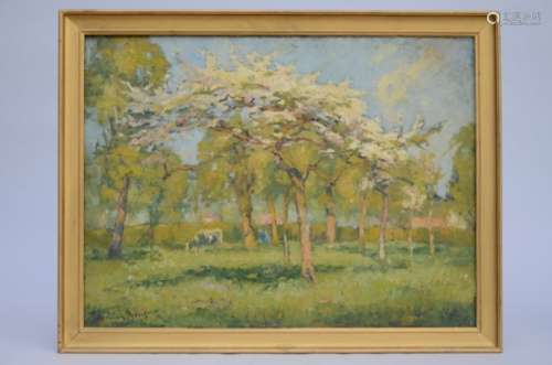 Broeckaert Herman: painting (o/c) 'the orchard' (60x80cm)