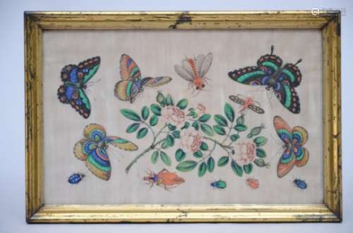 Chinese painting on rice paper 'butterflies' (20x32cm)