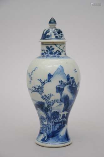 A Chinese blue and white vase, Kangxi period (*) (22cm)
