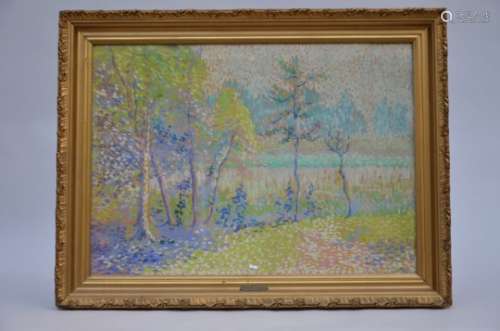 Joris: pastel 'landscape with trees' (*) (83x61cm)