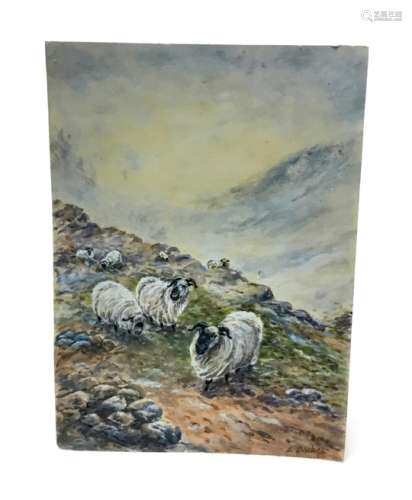A WATERCOLOUR OF SHEEP BY ERNEST BARKER